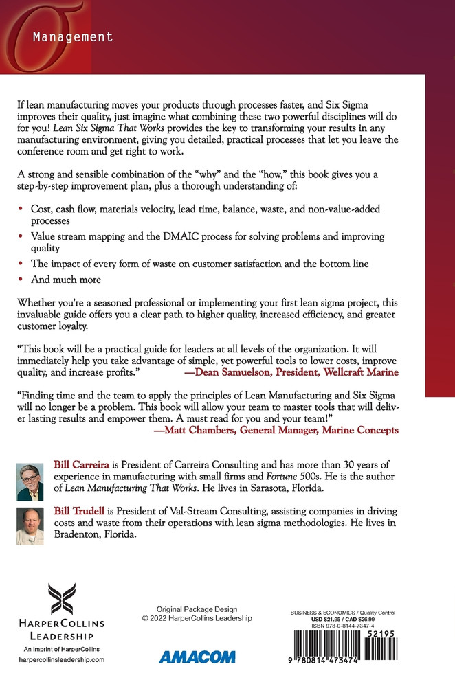 Lean Six Sigma That Works
