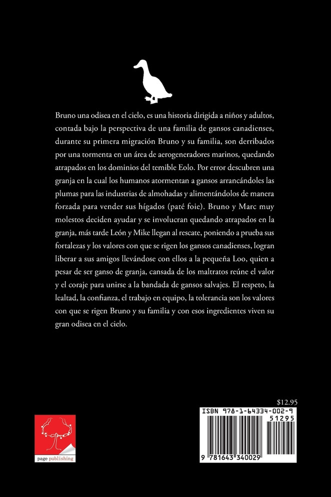 Bruno Una Odisea En El Cielo