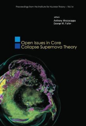 Open Issues In Core Collapse Supernova Theory