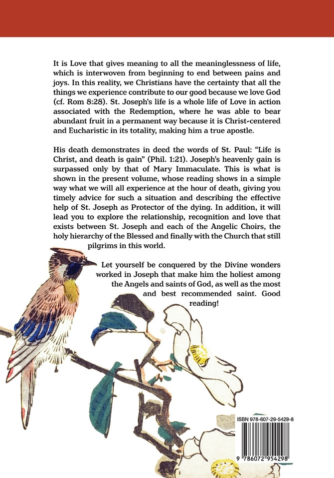 The Mission of St. Joseph. Volume II (color version)