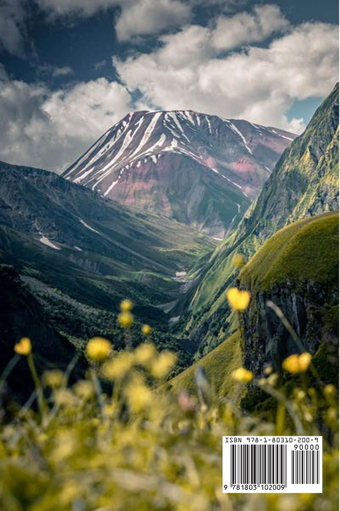 A Real Plan to Fix Earth