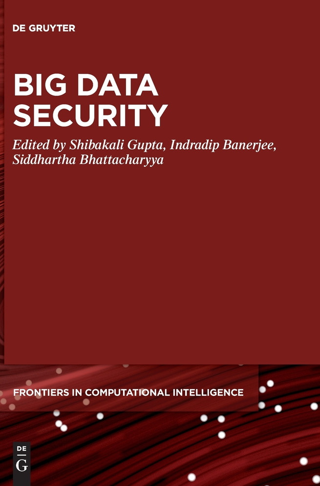 Big Data Security