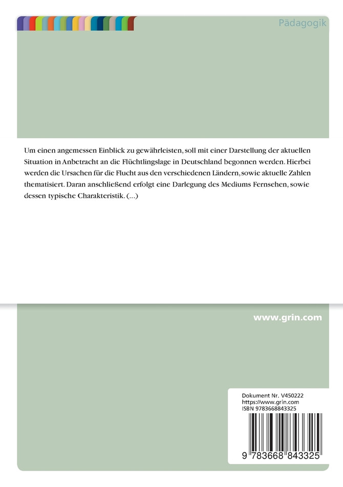 Das Leitmedium Fernsehen und seine Auswirkung auf die Stigmatisierung von Asylbewerbern