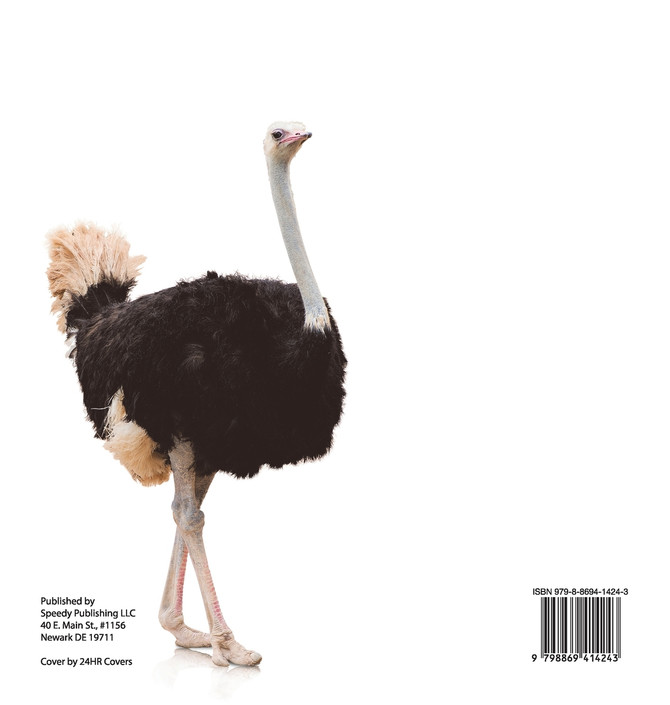 Swoop, Attack and Kill - Deadly Birds | Birds Of Prey for Kids | Children's Bird Books