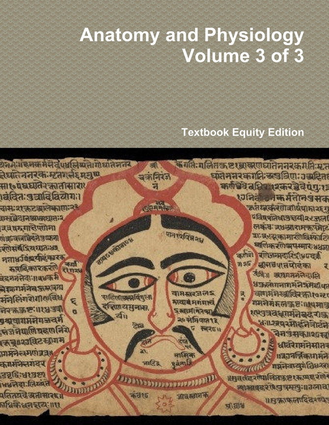 Anatomy and Physiology Volume 3 of 3