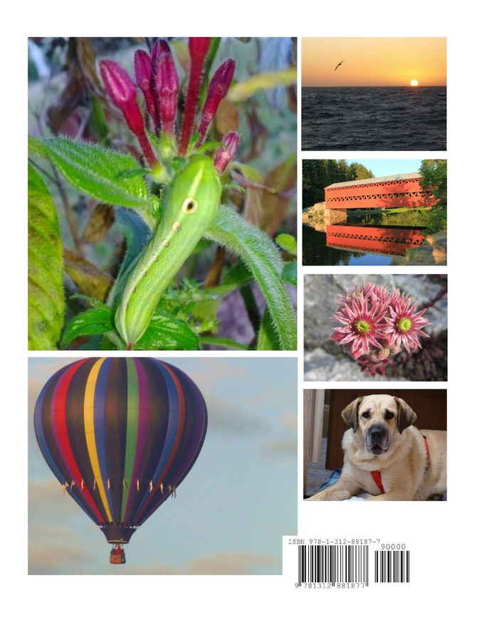 The Gunpowder Review 2015