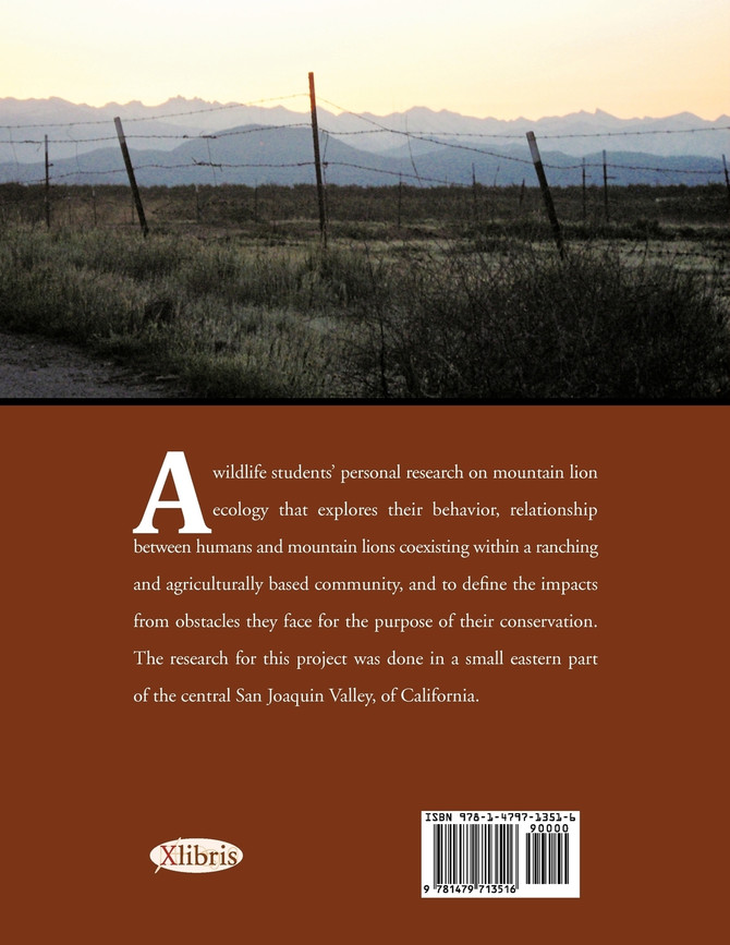 Shadows of a Mountain Lion