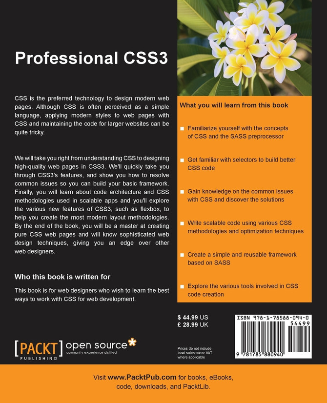 Professional CSS3