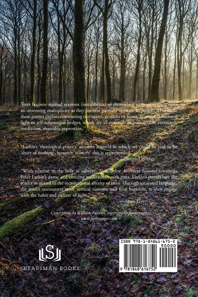 Trees Before Abstinent Ground