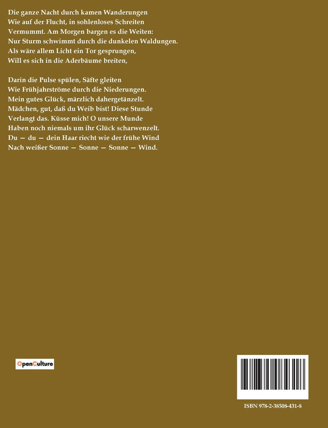 JUNGE PFERDE! JUNGE PFERDE!