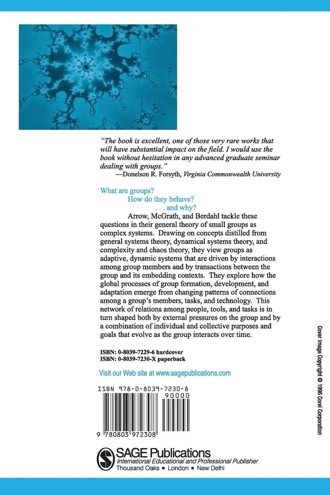 Small Groups as Complex Systems