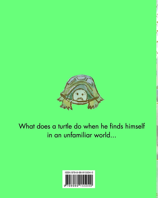 Turtles Don't Climb Stairs