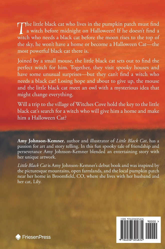 Little Black Cat Finds a Home