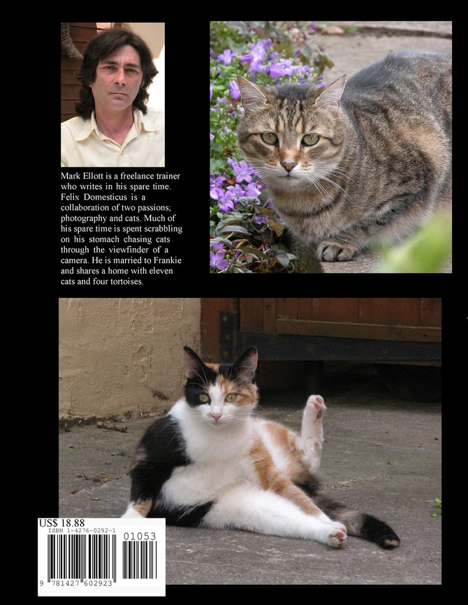 Felix Domesticus