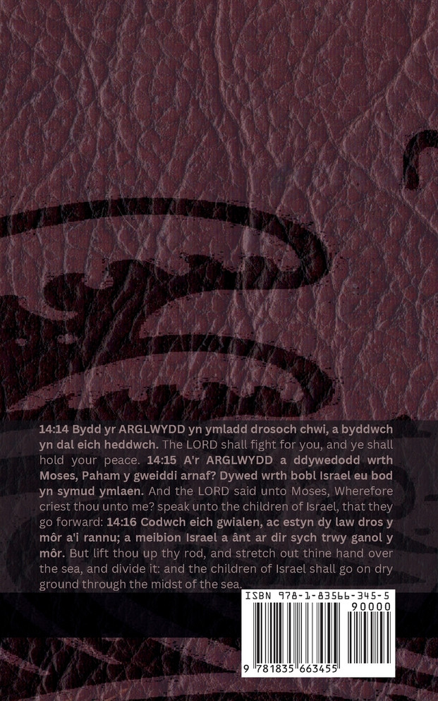 Y Beibl (Exodus) / The Bible (Exodus)