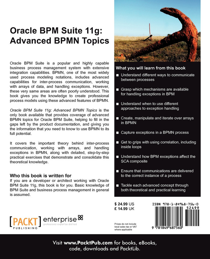 Oracle Bpm Suite 11g