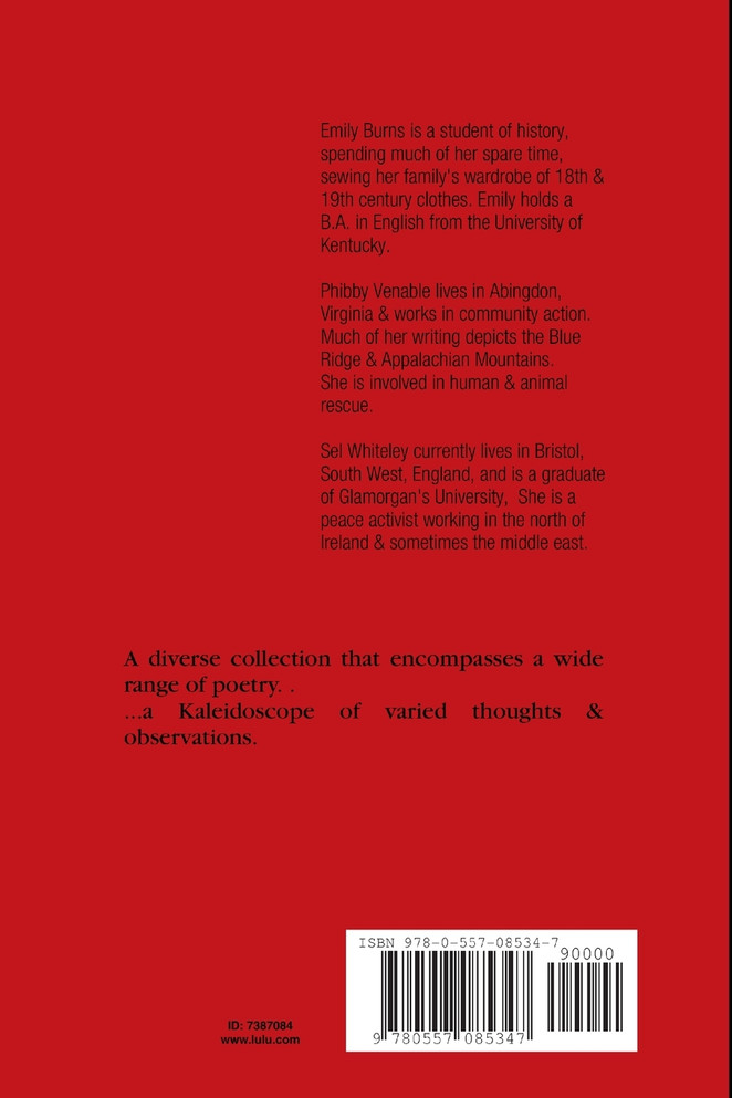 The Kaleidoscope Chronicles  Poetry in Three Voices
