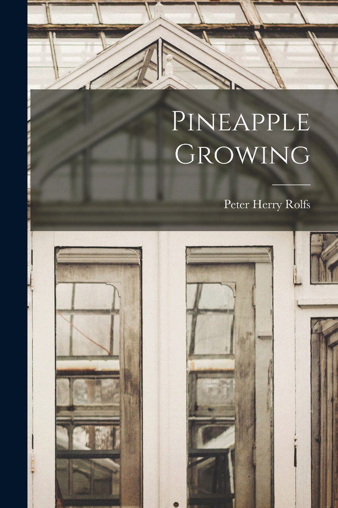 Pineapple Growing