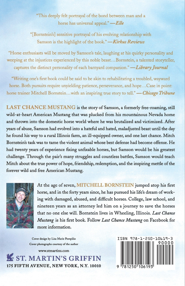 Last Chance Mustang