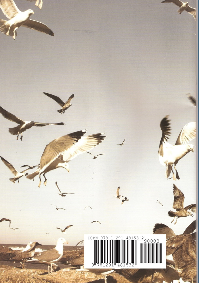 Hereward the Wake volume 1