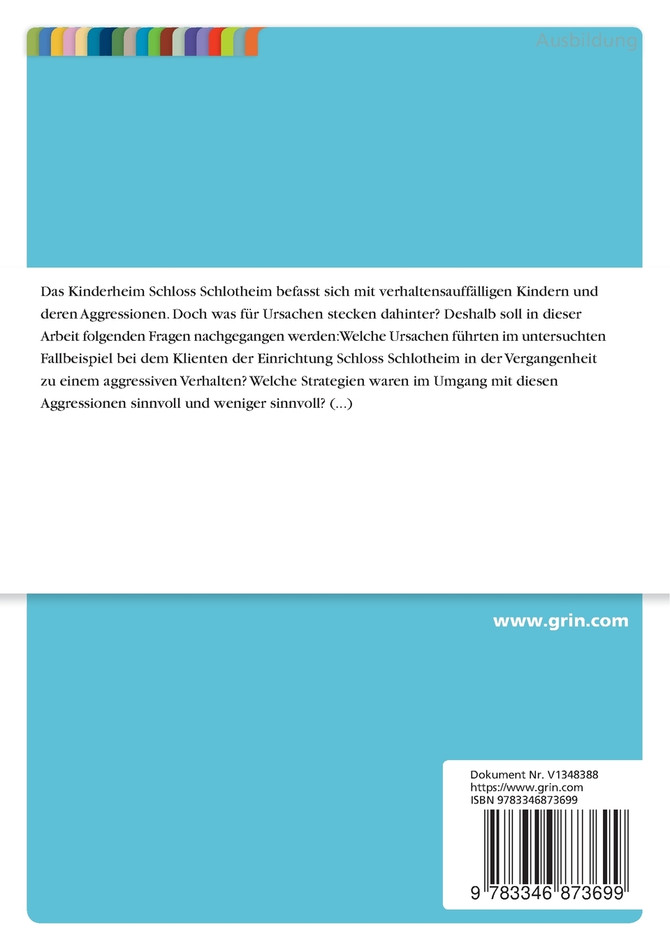 Aggressives Verhalten bei Jugendlichen. Ursachen und Interventionsmöglichkeiten bei Klienten des Kinderheims Schloss Schlotheim