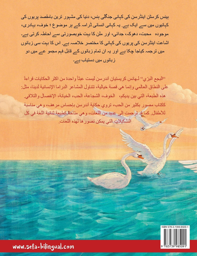 جنگلی ہنس - البجع البري (اردو - عربی)