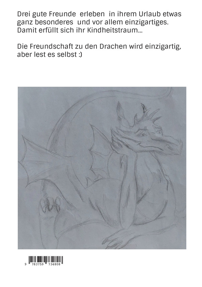 Der drachenstarke Hilfedienst 2