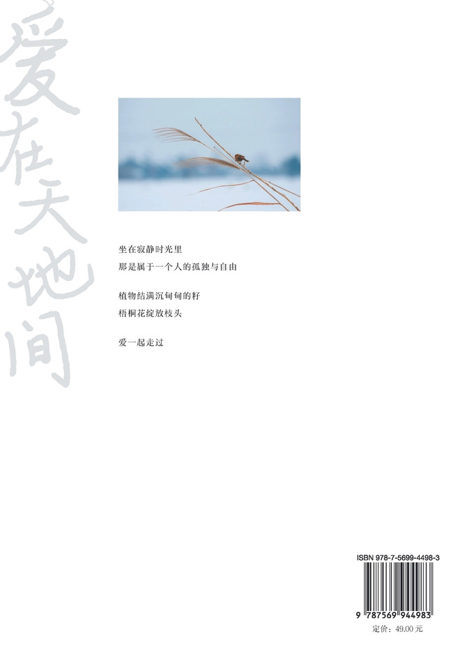 爱在天地间