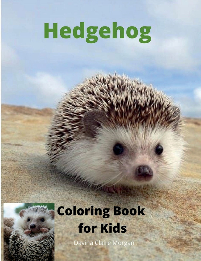 Hedgehog Coloring Book for Kids