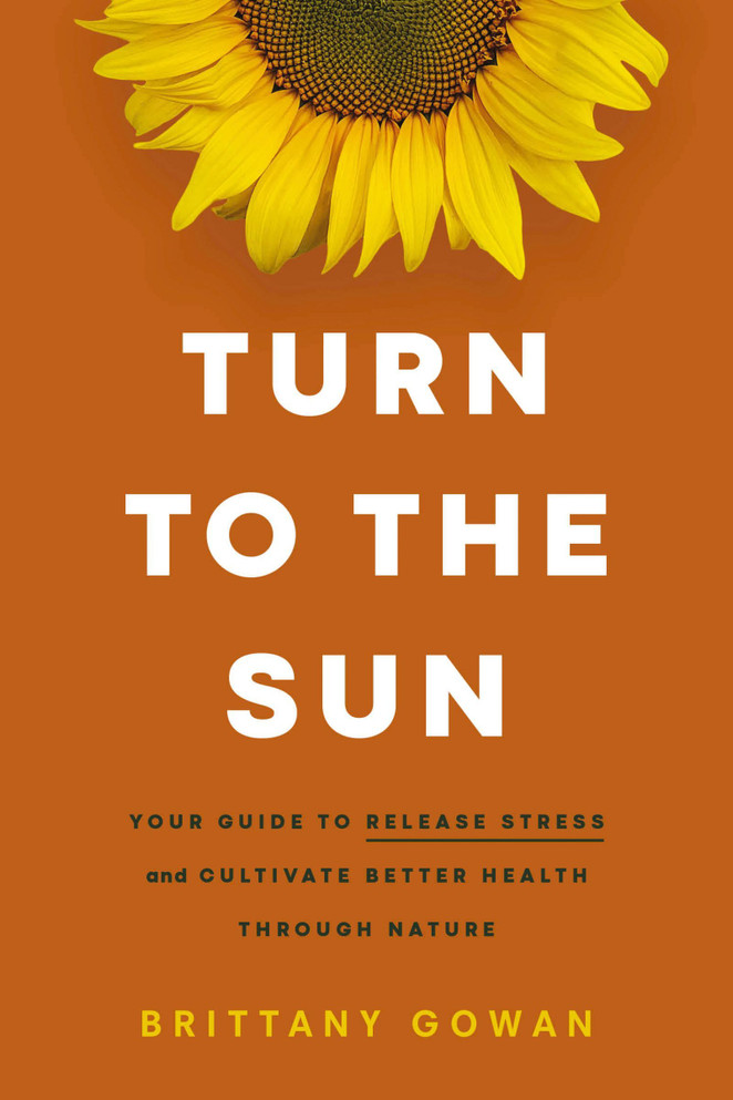 Turn To The Sun
