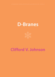 D-Branes
