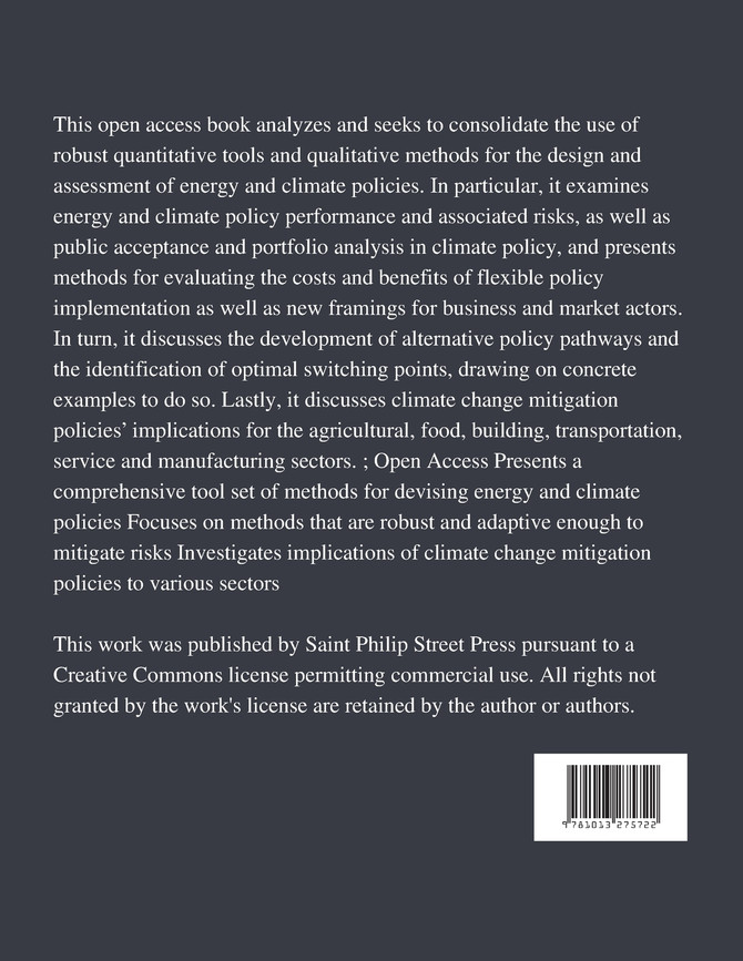 Understanding Risks and Uncertainties in Energy and Climate Policy