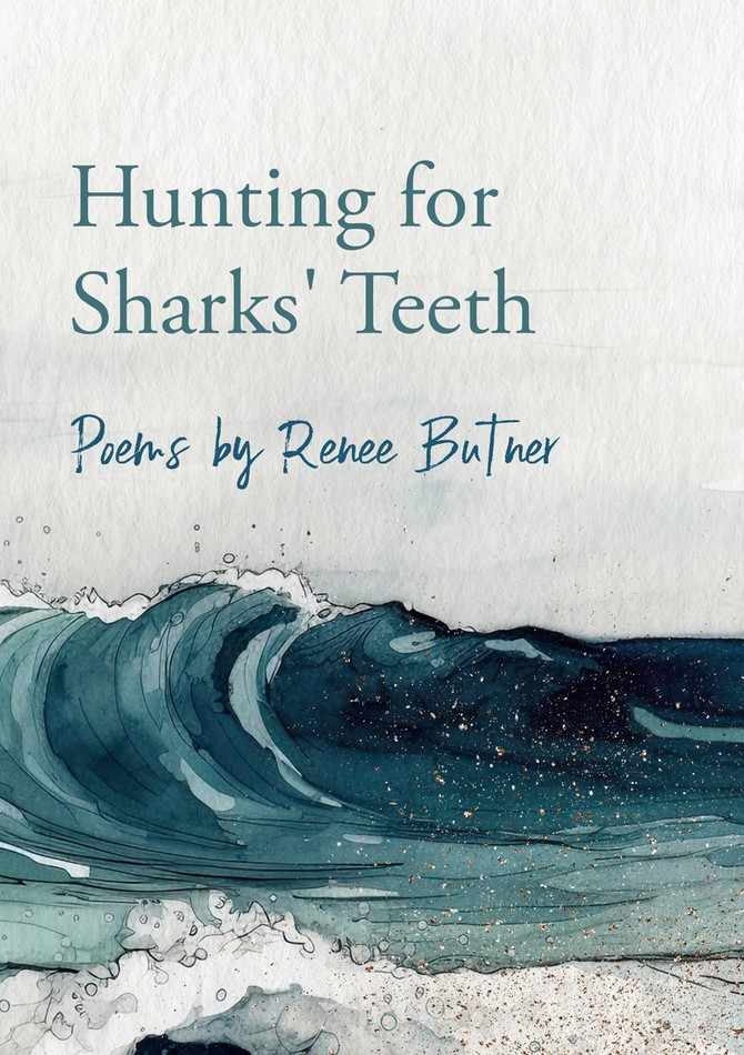 Hunting for Sharks' Teeth