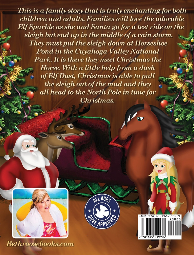 Elf Sparkle Meets Christmas The Horse