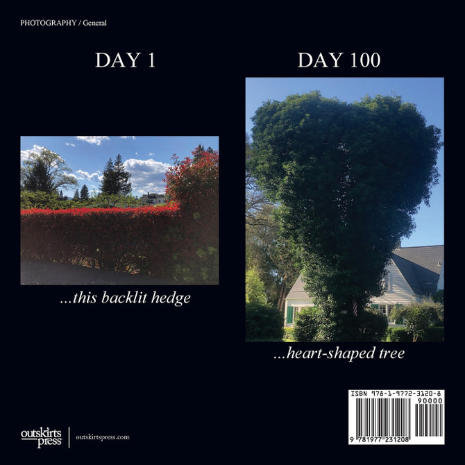 Today in H'burg... 100 Days Sheltering-In-Place