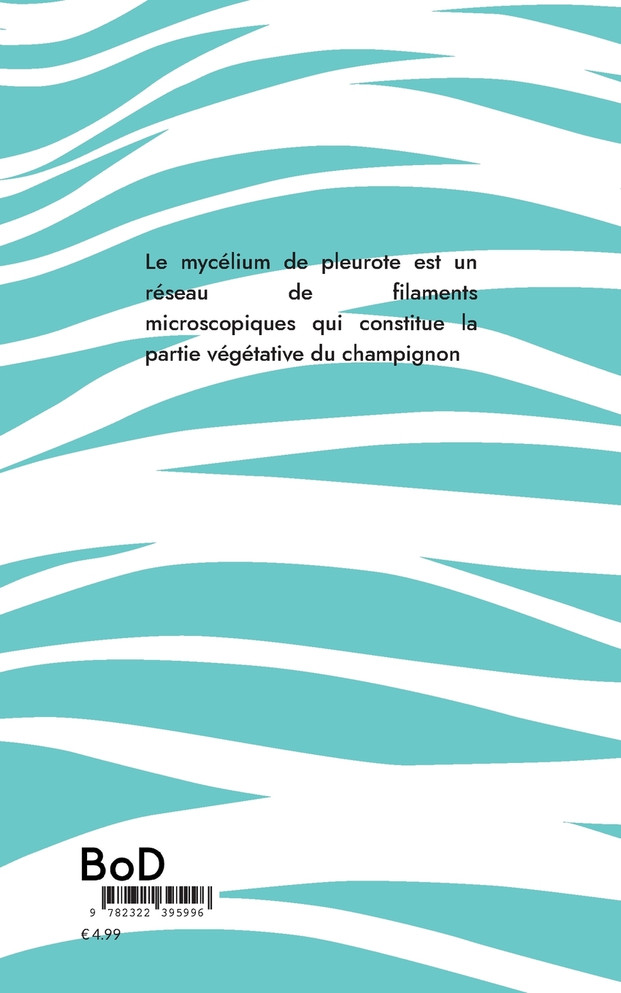 Le mycelium pour les nuls