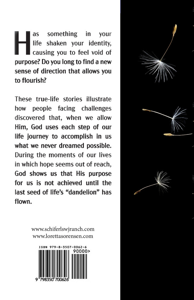 It's Your Time to Fly