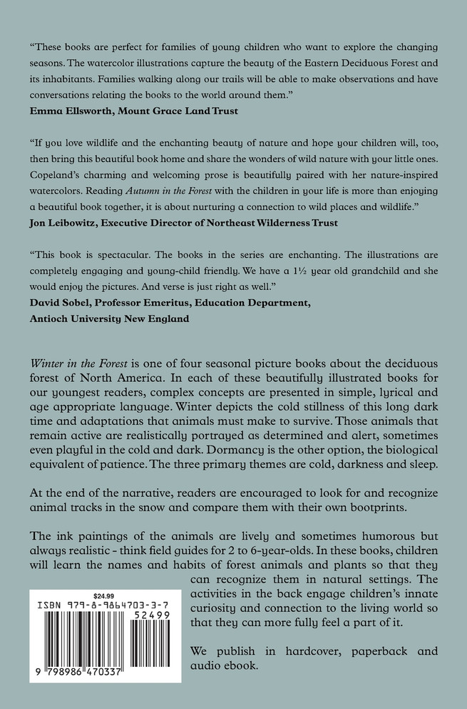 Winter in the Forest