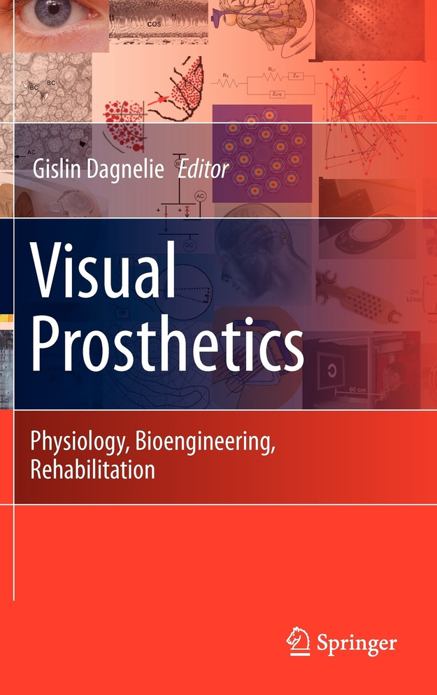 Visual Prosthetics