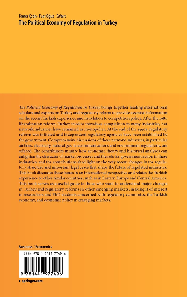 The Political Economy of Regulation in Turkey