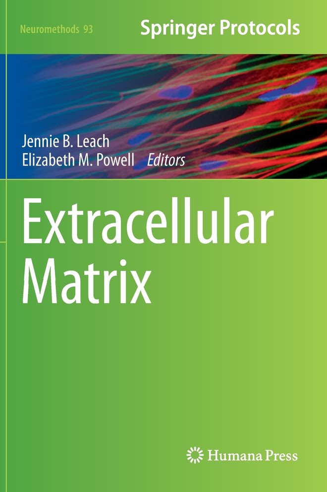 Extracellular Matrix