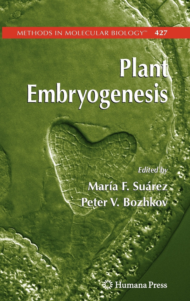 Plant Embryogenesis