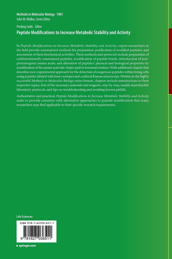 Peptide Modifications to Increase Metabolic Stability and Activity