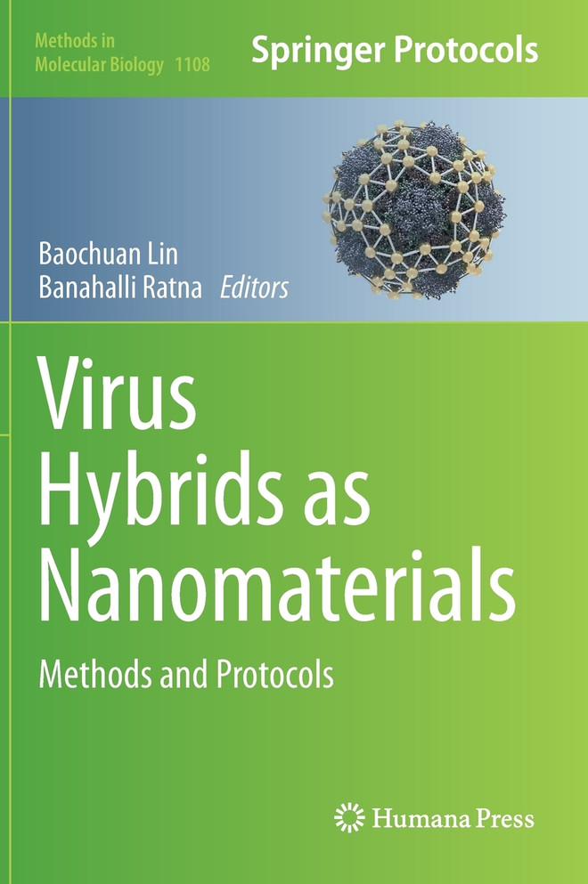 Virus Hybrids as Nanomaterials