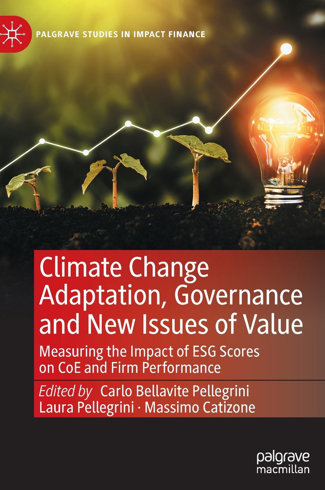 Climate Change Adaptation, Governance and New Issues of Value