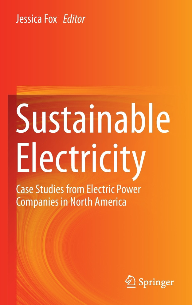 Sustainable Electricity