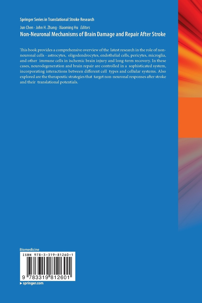 Non-Neuronal Mechanisms of Brain Damage and Repair After Stroke
