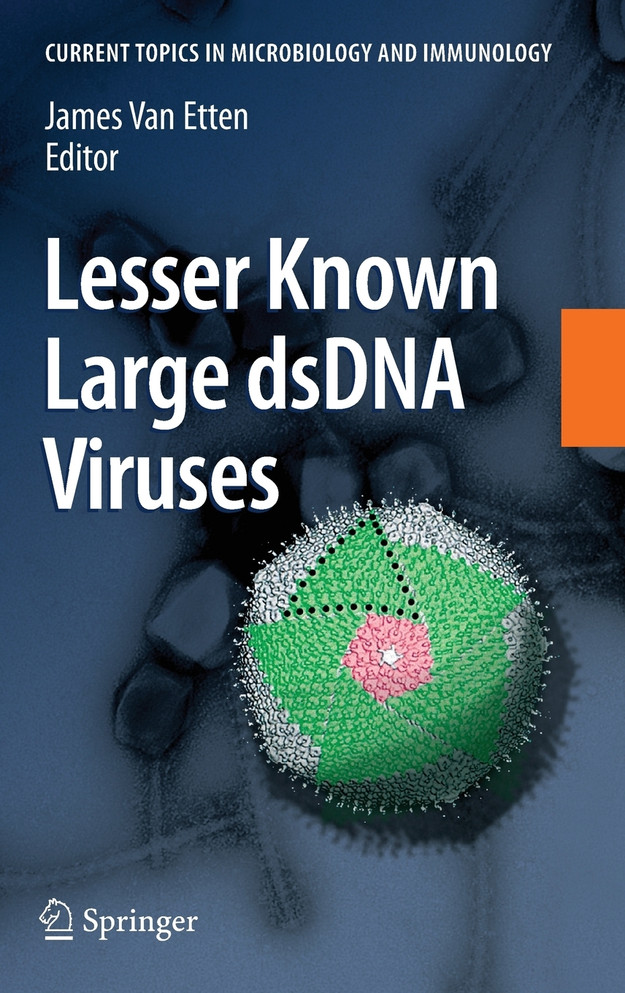 Lesser Known Large dsDNA Viruses