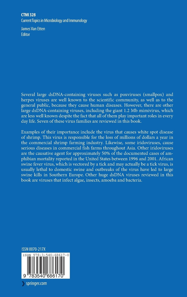 Lesser Known Large dsDNA Viruses