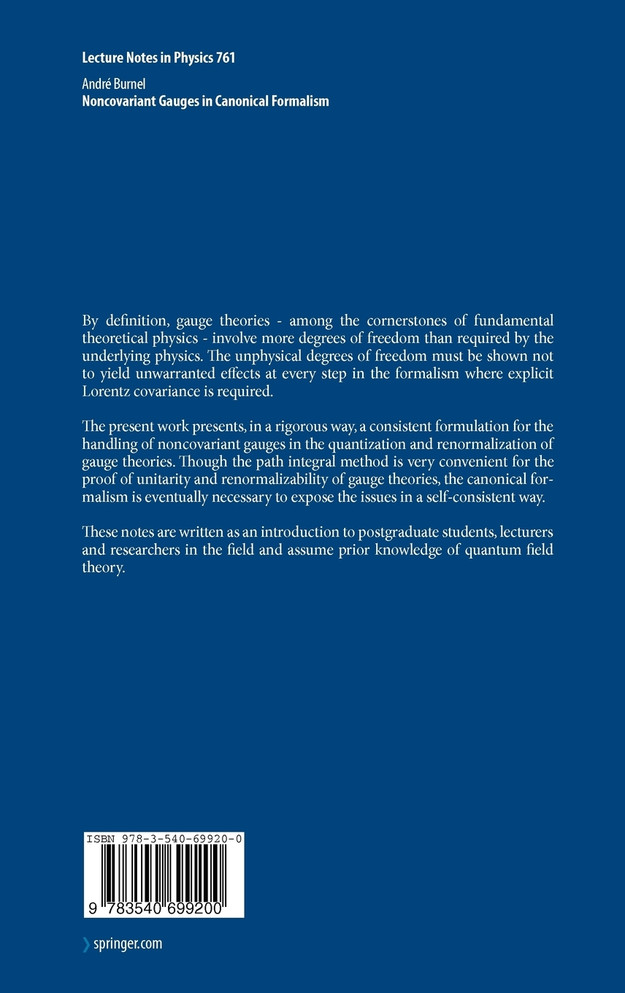 Noncovariant Gauges in Canonical Formalism